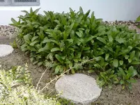 Foto-0013.webp