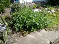 Foto-0014.webp
