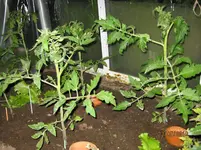 05 097.webp