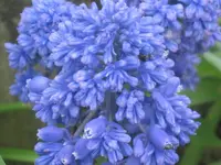 013.webp