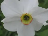 011.webp