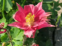 IMG_5269_1024x768.webp