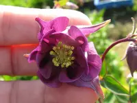 IMG_5278_1024x768.webp