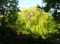 P1110066_600_443.webp