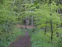 P1100925_600_450.webp