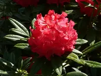 P1050832_600_450.webp