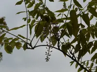 P1020941.webp
