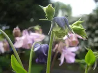 Fotos 007.webp