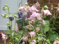 Fotos 011.webp