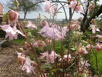 Fotos 014.webp
