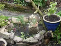 Fotos 024.webp