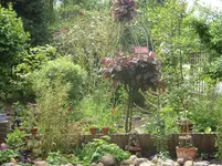 Fotos 028.webp