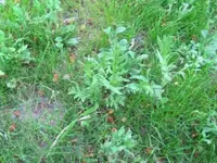 IMG_0307.webp