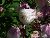 P1020059.webp