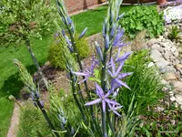 P1010230.webp