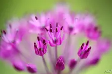 blog_7016.webp