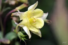 blog_7187.webp