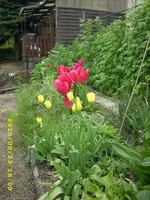 JD500097.webp
