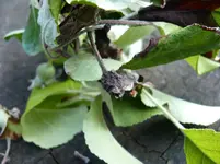 P1010630.webp