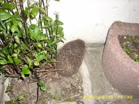 JD500496.webp