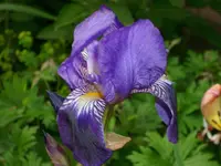 DSCI0914.webp