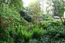 IMG_1952 - Kopie.webp