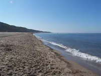 100_2349.webp