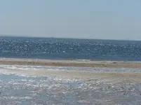 100_2367.webp