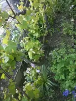 IMG_0277_Bildgröße ändern.webp