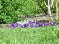 Mai 021.webp