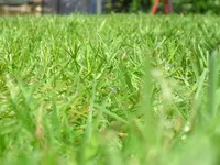 Mai 022.webp