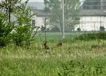 DSC06484.webp