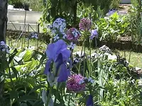 DSC00007.webp