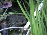 DSC00009.webp