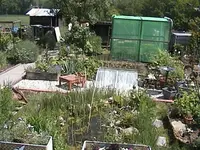 DSC00005.webp