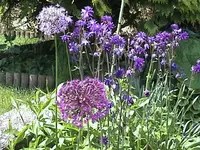 DSC00014.webp