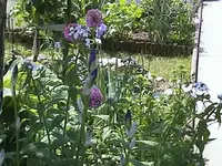 DSC00021.webp
