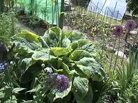 DSC00024.webp
