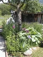 DSC00016.webp