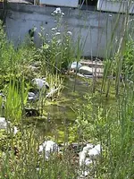 DSC00013.webp