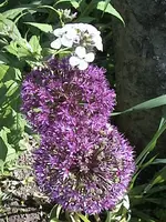 DSC00023.webp
