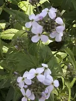 DSC00022.webp