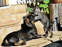 DSC06612.webp