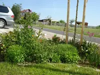 Vorgarten 1.webp