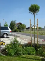 Vorgarten 2.webp