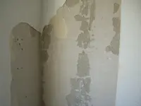 CIMG3222.webp