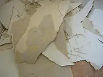 CIMG3223.webp