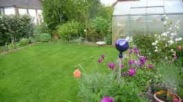 An der Terrasse.webp