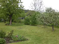 Garten Mai3 016.webp