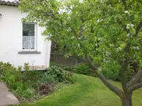 Garten Mai3 017.webp